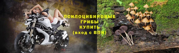 твердый Лабытнанги