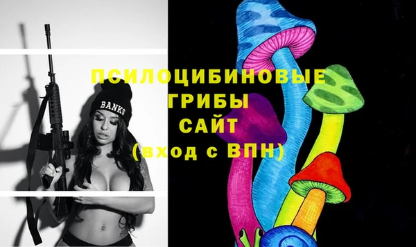 твердый Лабытнанги